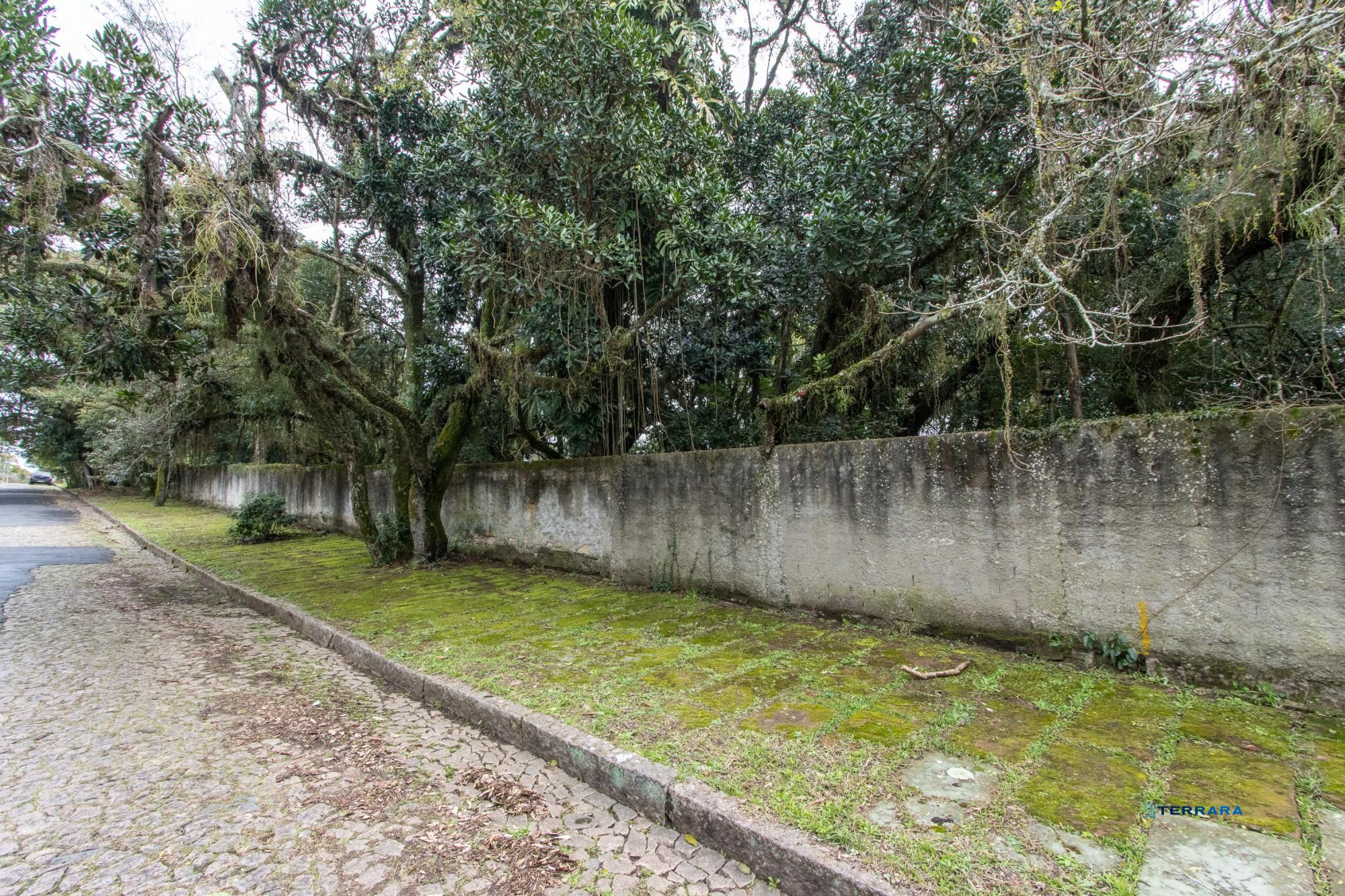 Terreno, à venda, Espírito Santo - Porto Alegre — foto 2