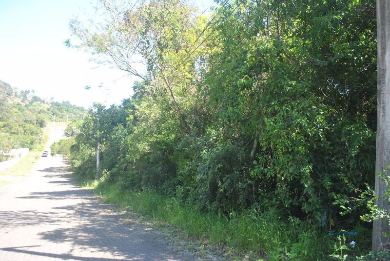Terreno, à venda, Espírito Santo - Porto Alegre — foto 5