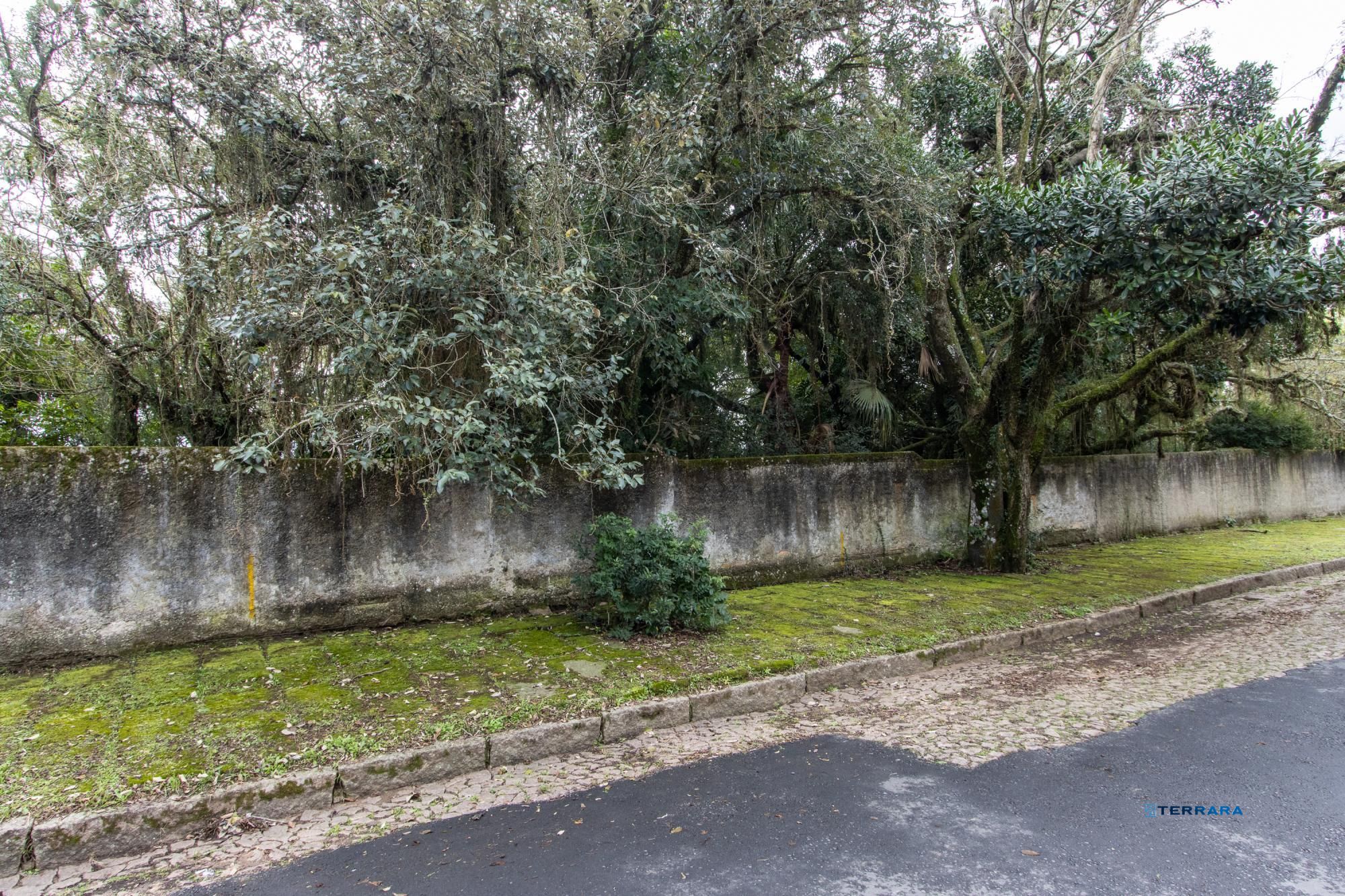 Terreno, à venda, Espírito Santo - Porto Alegre — foto 3