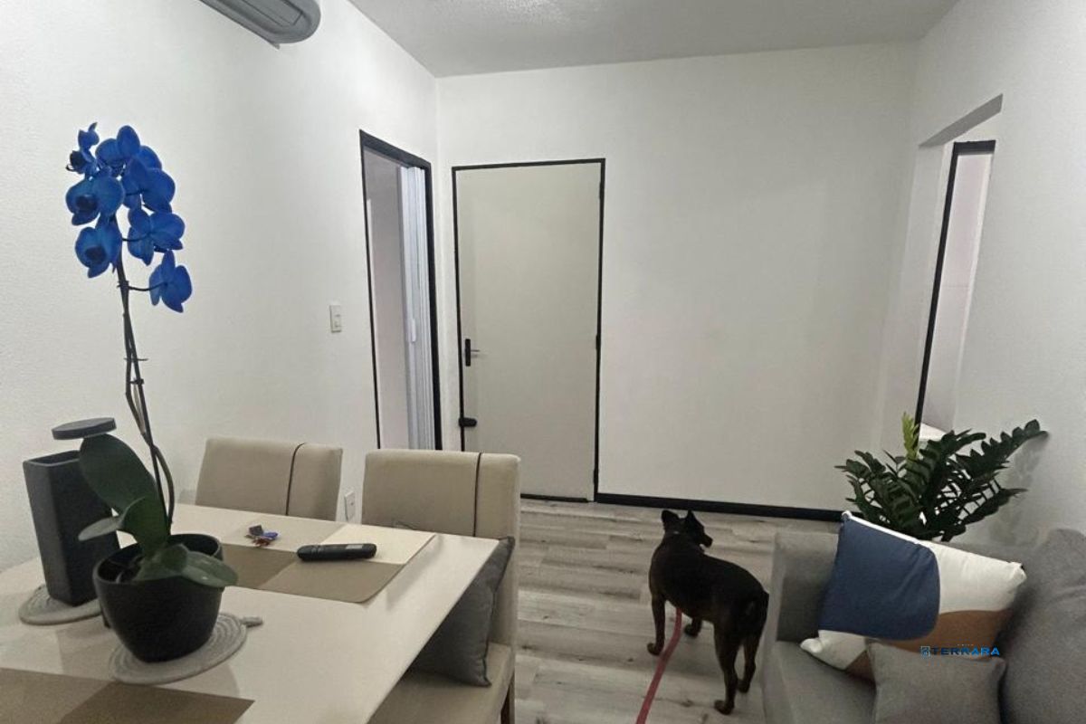Apartamento, 2 quartos, à venda, 46 m², Cavalhada - Porto Alegre — foto 3