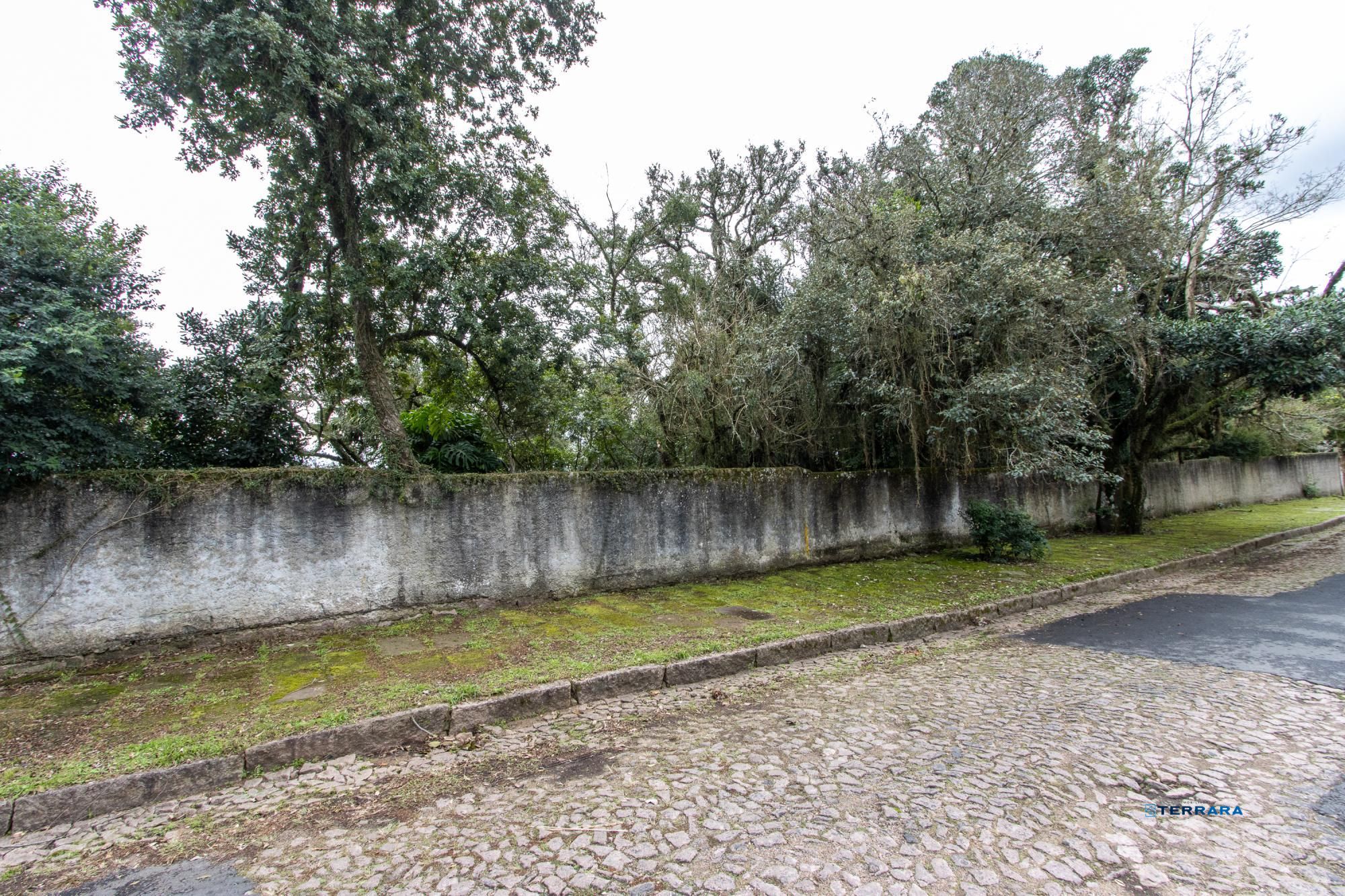 Terreno, à venda, Espírito Santo - Porto Alegre — foto 3