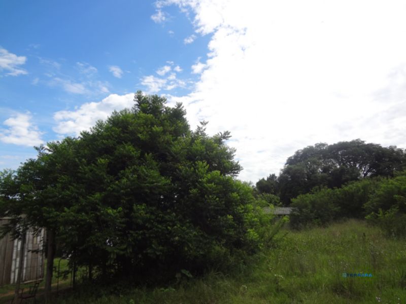Terreno para Venda - 0m², 0 dormitórios, Lami