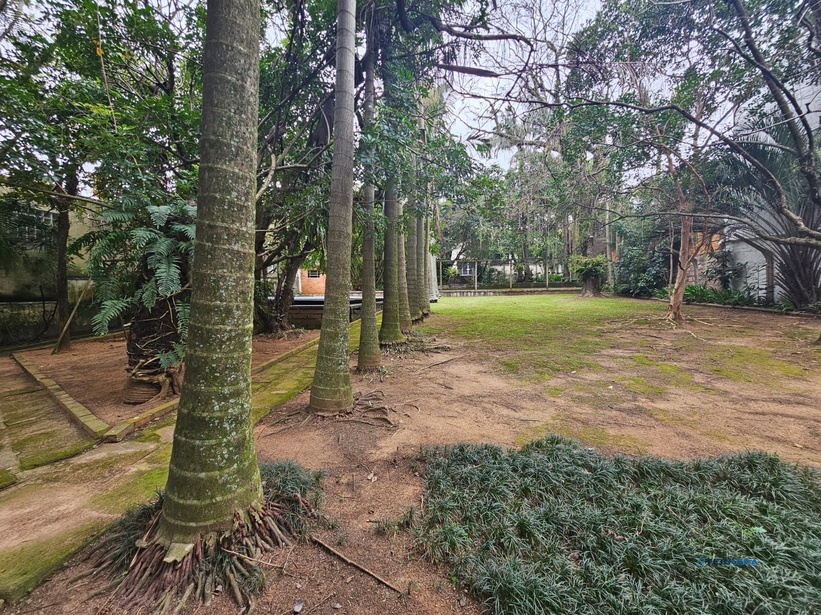 Terreno próprio para construção de condomínio de casas ou apartamentos