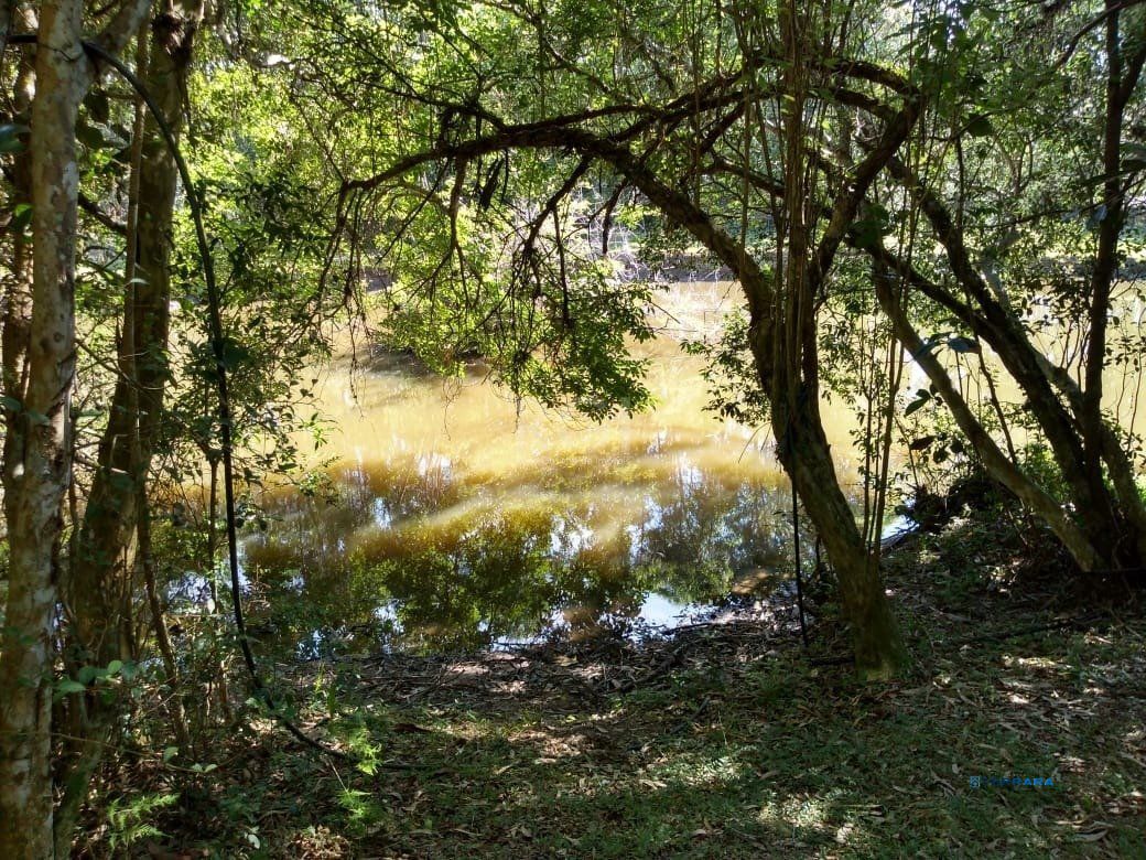 Sítio, 4 quartos, à venda, 240 m², Itapuã - Viamão — foto 4