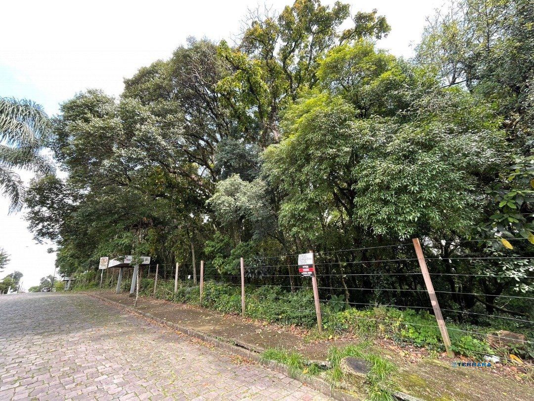 Terreno, à venda, Marechal Floriano - Caxias do Sul — foto 2