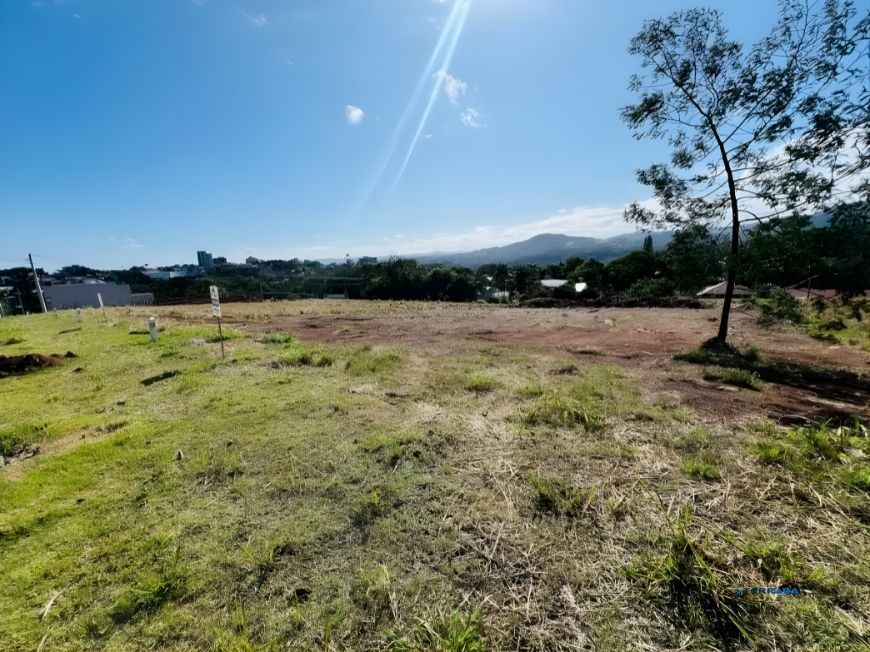 Terreno, à venda, Palmares - Ivoti — foto 4