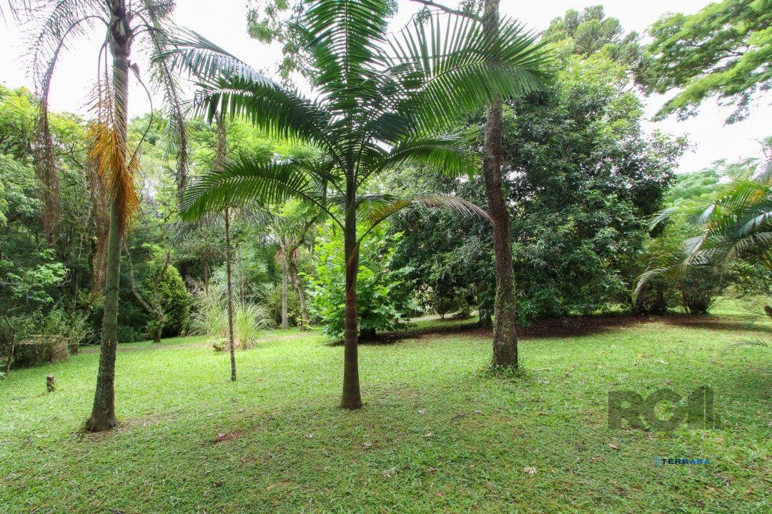 Sítio, 3 quartos, à venda, 303 m², Belém Velho - Porto Alegre — foto 4