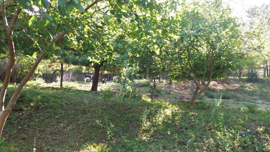 Terreno, à venda, Boa Vista do Sul - Porto Alegre — foto 4
