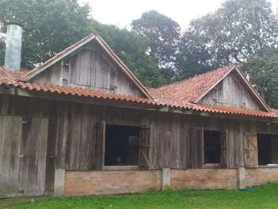 Sítio, 3 quartos, à venda, 2 m², Boa Vista do Sul - Porto Alegre — foto 4