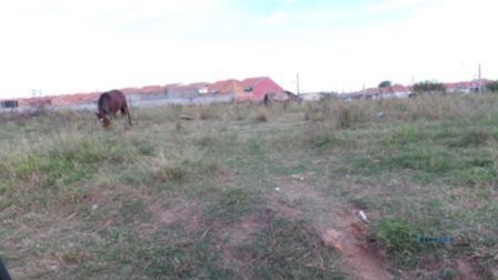 Terreno, à venda, Aberta dos Morros - Porto Alegre — foto 5
