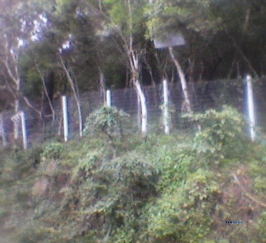 Terreno, à venda, Ponta Grossa - Porto Alegre — foto 2