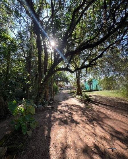 Terreno, à venda, Vila Nova - Porto Alegre — foto 5