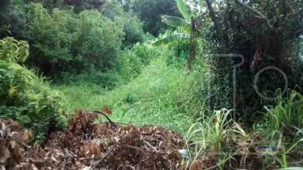 Terreno, à venda, Vila Nova - Porto Alegre — foto 2