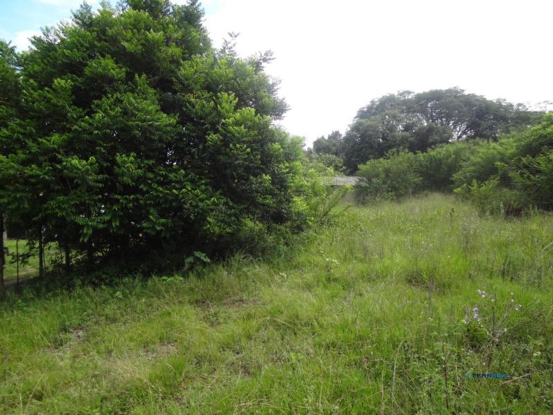 Terreno, à venda, Lami - Porto Alegre — foto 2