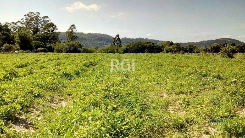 Sítio para Venda - 20060m² Zona Sul Lami