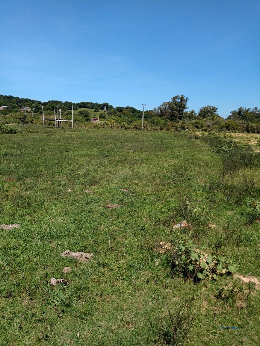 Terreno, à venda, Ponta Grossa - Porto Alegre — foto 3
