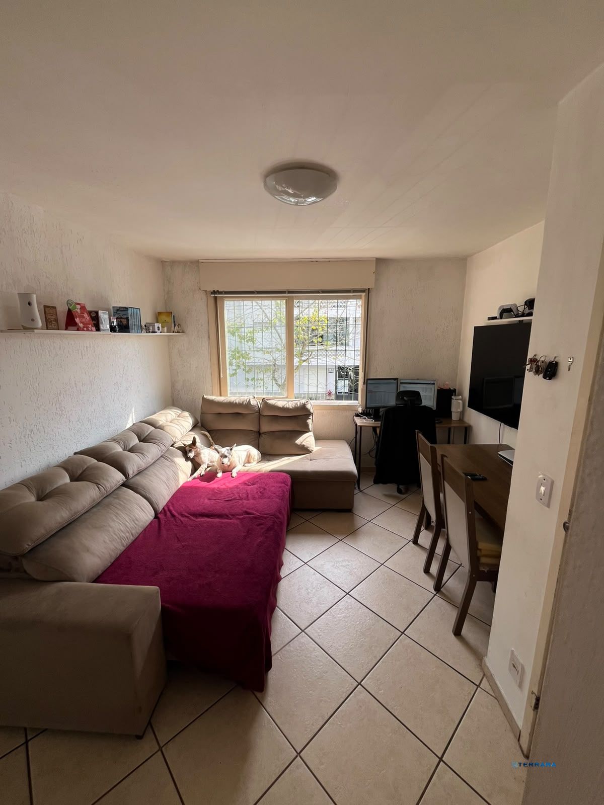 Apartamento, 2 quartos, à venda, 50 m², Navegantes - Porto Alegre — foto 2