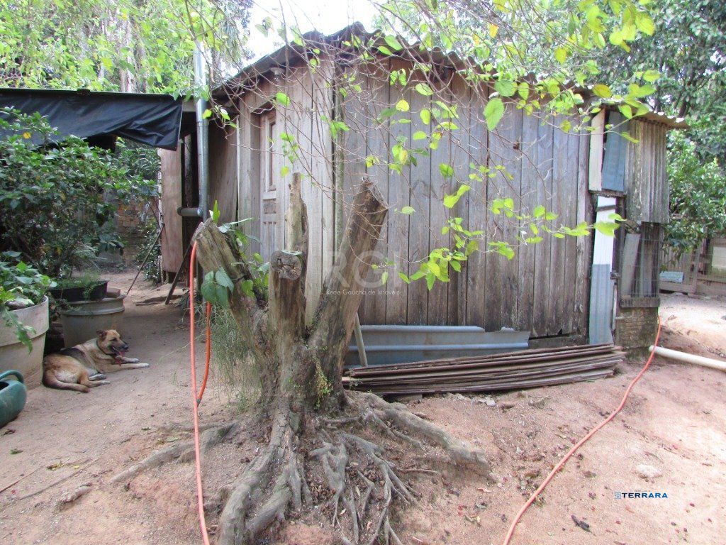 Sítio, 2 quartos, à venda, 80 m², Lageado - Porto Alegre — foto 3