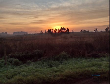 Terreno, à venda, São José - Passo Fundo — foto 2