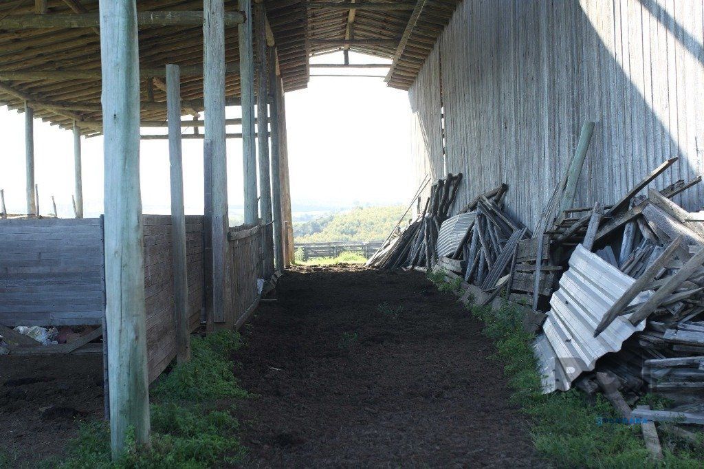 Terreno, à venda, Padre Elly - General Câmara — foto 3