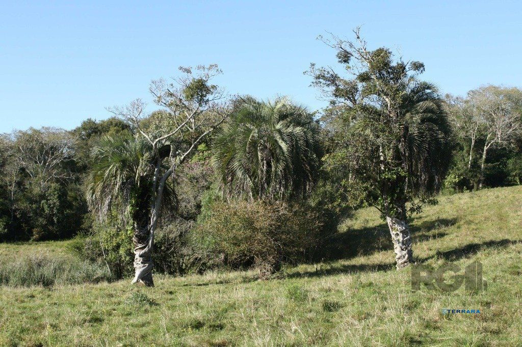 Terreno, à venda, Padre Elly - General Câmara — foto 5