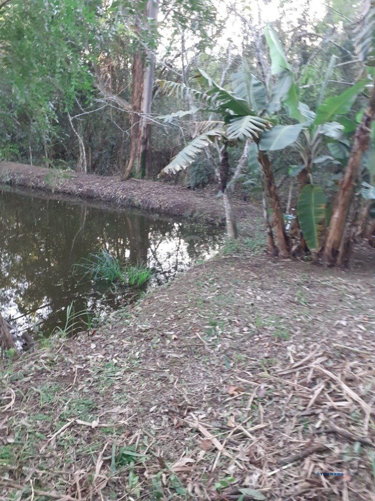 Terreno, à venda, Sítio Túnel Verde - Cachoeirinha — foto 4