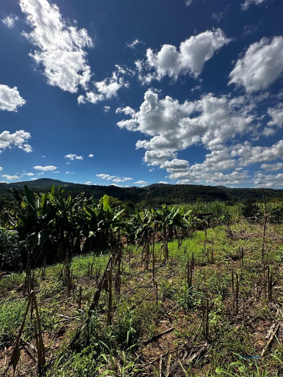 Terreno, à venda, Feitoria Nova - Ivoti — foto 5