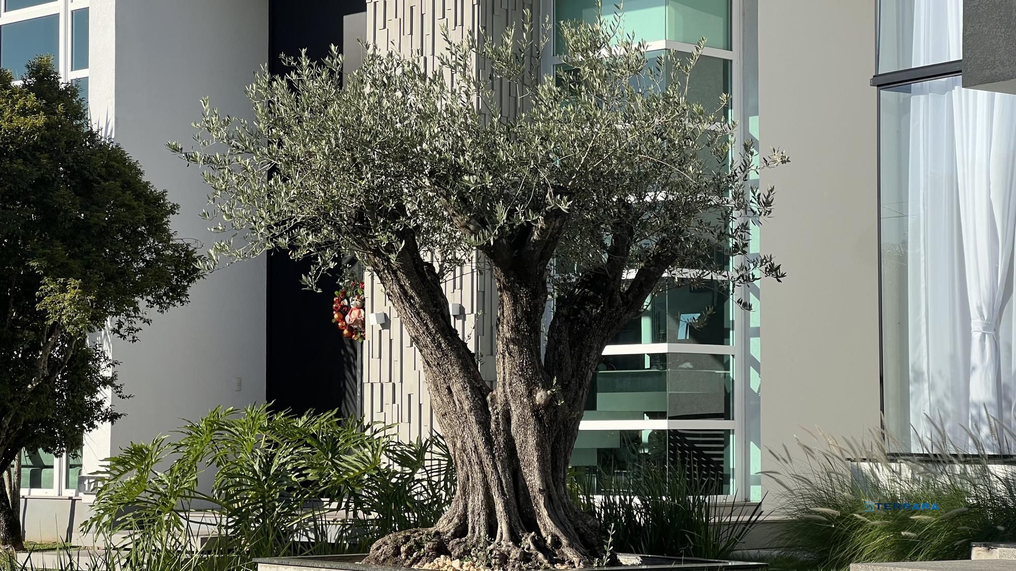 Casa de Condomínio, 3 suítes, à venda, 220 m², São Vicente - Gravataí — foto 5