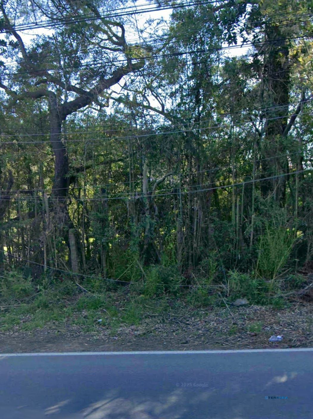 Terreno, à venda, Belém Velho - Porto Alegre — foto 3