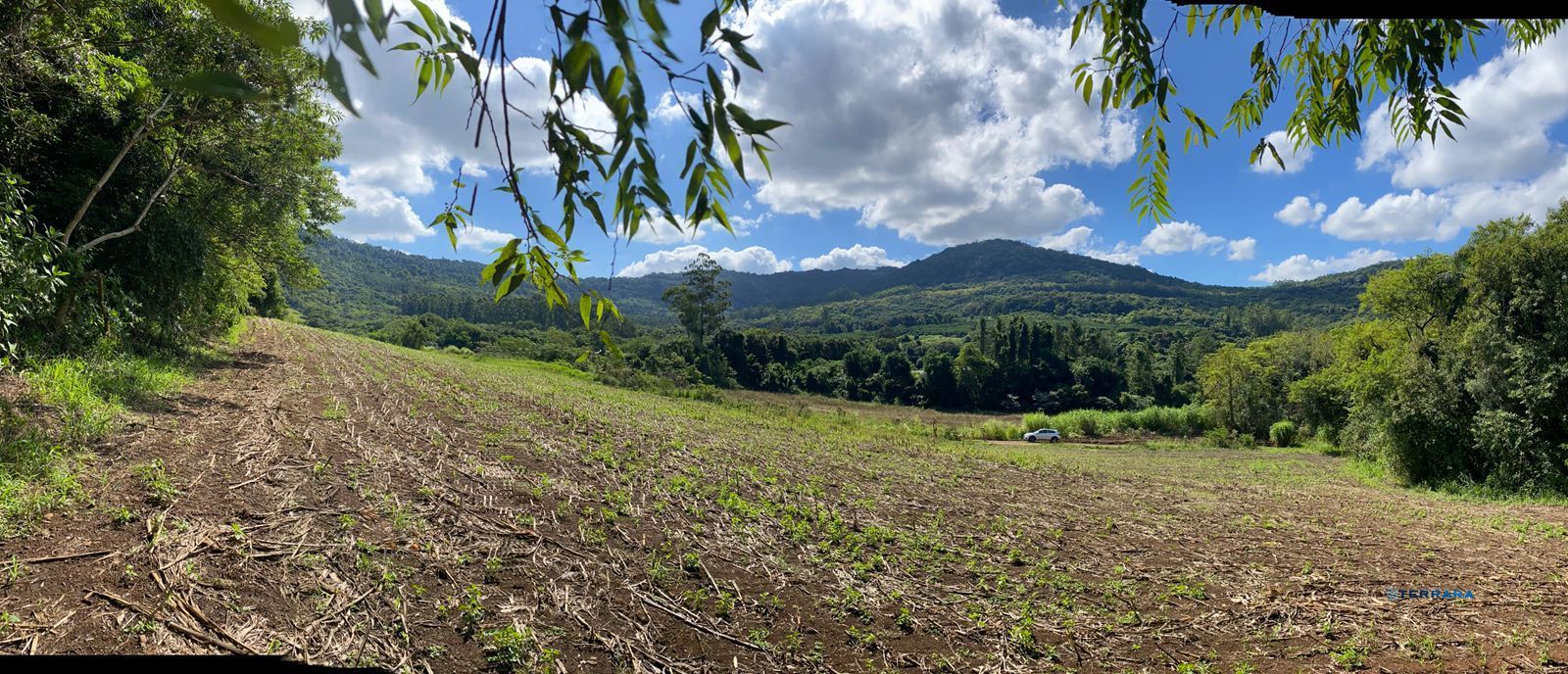 Área Rural, à venda, Capela do Rosário - São José do Hortêncio — foto 5