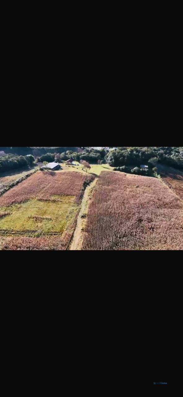 Terreno, à venda, Área Rural - Bento Gonçalves — foto 2
