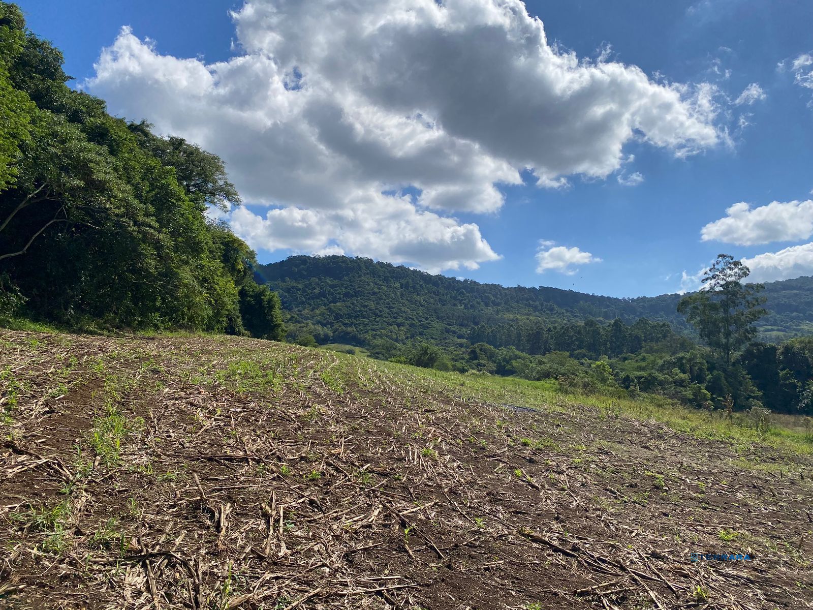 Área Rural, à venda, Capela do Rosário - São José do Hortêncio — foto 2
