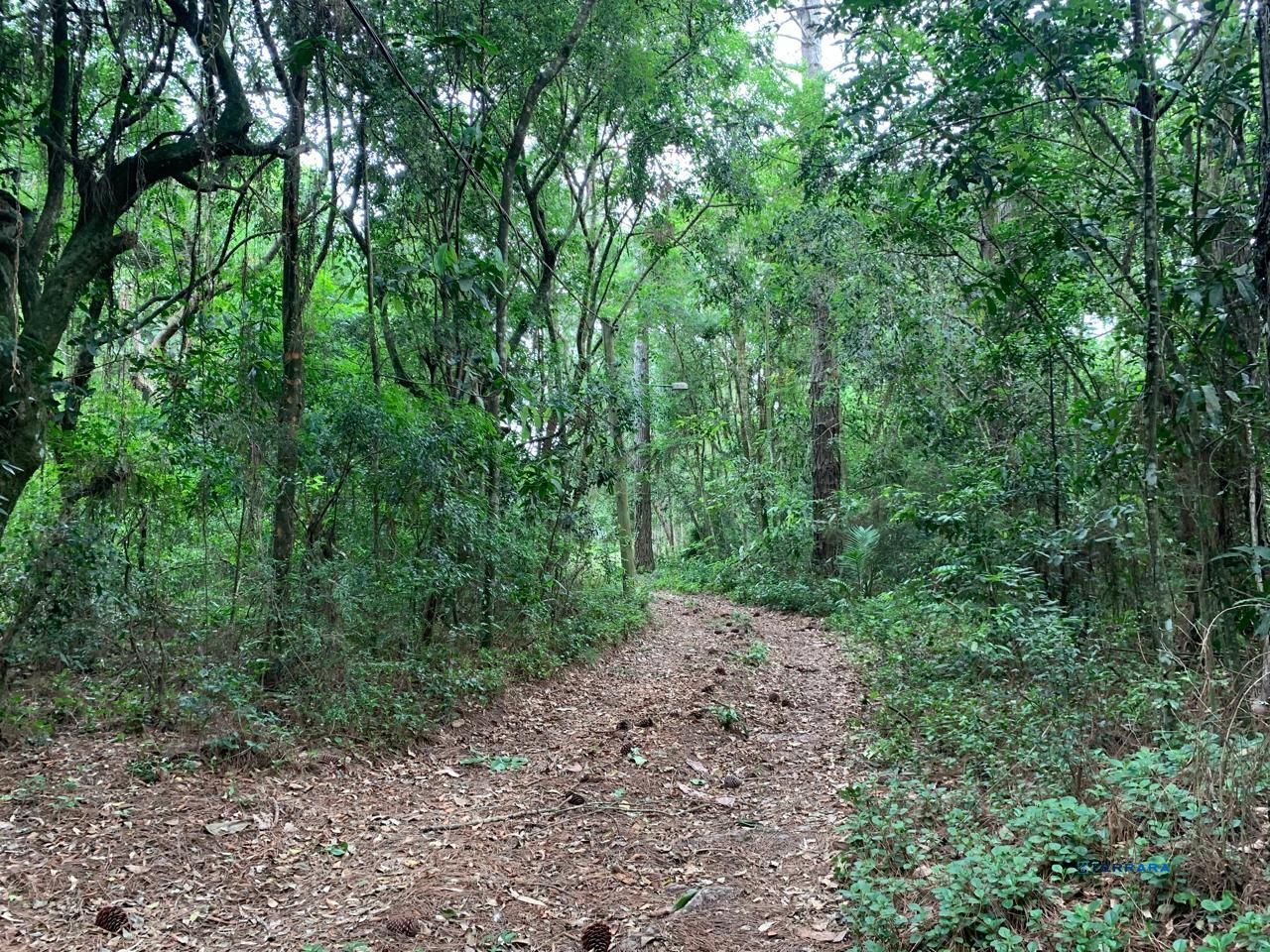 Sítio, 3 quartos, à venda, 500 m², Águas Claras - Viamão — foto 5