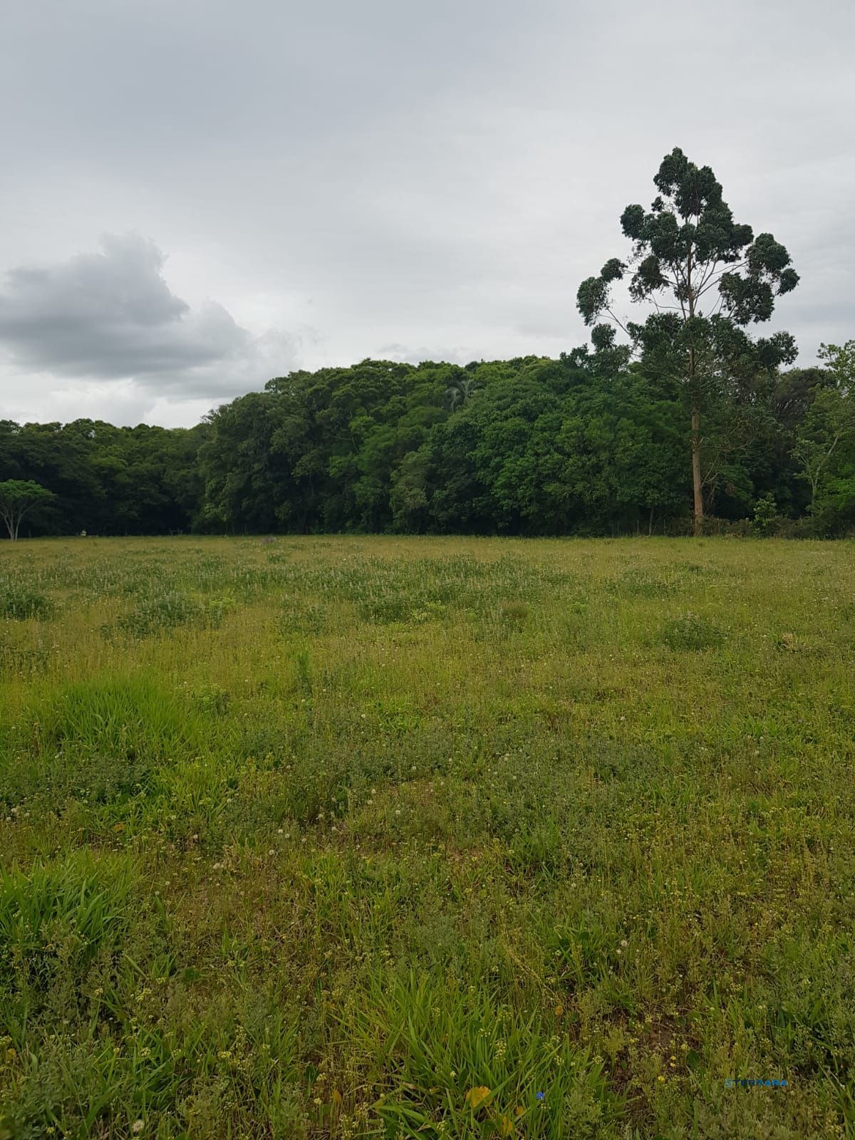 Sítio, 2 suítes, à venda, 120 m², Águas Claras - Viamão — foto 4