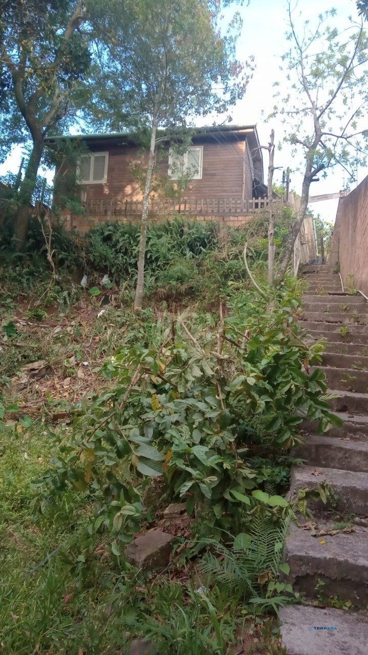 Terreno, à venda, Cascata - Porto Alegre — foto 3