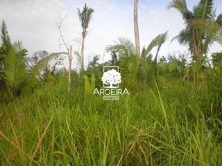 Fazenda em Altamira/Pará — Ref 9SC0ZQ — Imagem 11