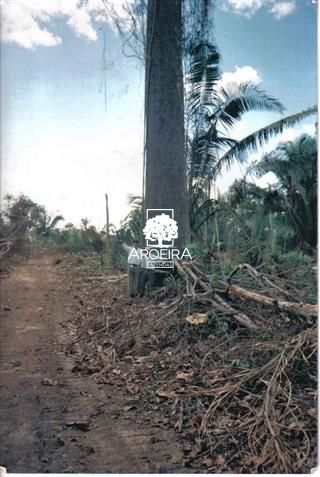 Fazenda em Altamira/Pará — Ref 9SC0ZQ — Imagem 18