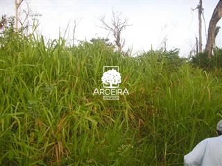 Fazenda em Altamira/Pará — Ref 9SC0ZQ — Imagem 5