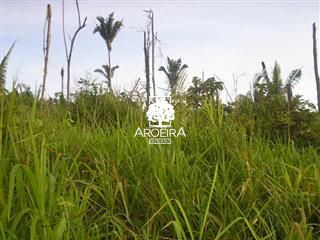 Fazenda em Altamira/Pará — Ref 9SC0ZQ — Imagem 12