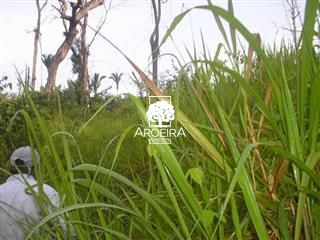 Fazenda em Altamira/Pará — Ref 9SC0ZQ — Imagem 4