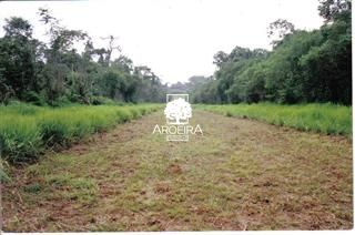 Fazenda em Altamira/Pará — Ref 9SC0ZQ — Imagem 2