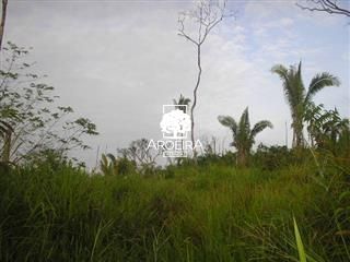 Fazenda em Altamira/Pará — Ref 9SC0ZQ — Imagem 8