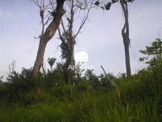 Fazenda em Altamira/Pará — Ref 9SC0ZQ — Imagem 6