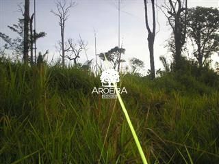 Fazenda em Altamira/Pará — Ref 9SC0ZQ — Imagem 9