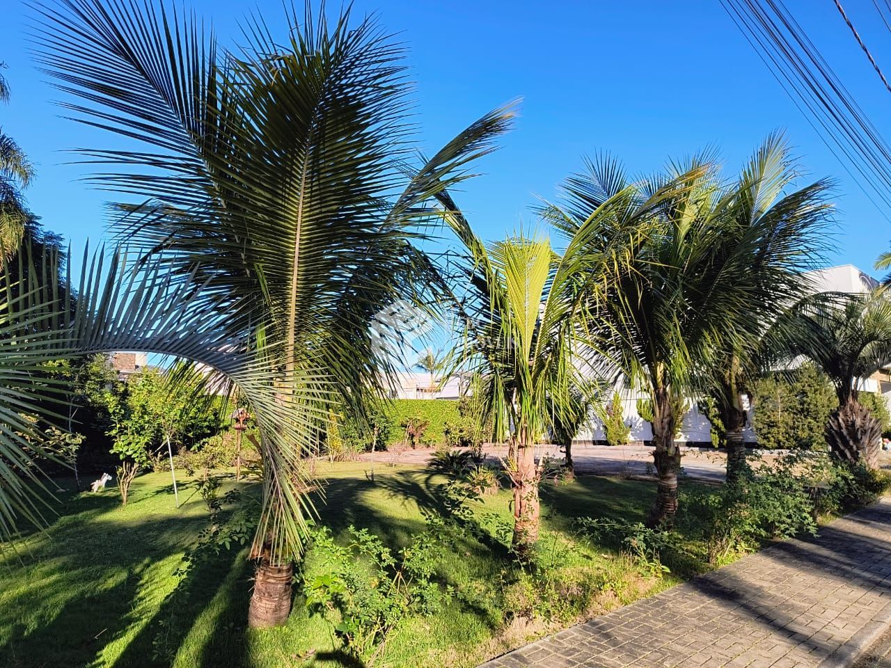 Terreno, 456 m² - Foto 5