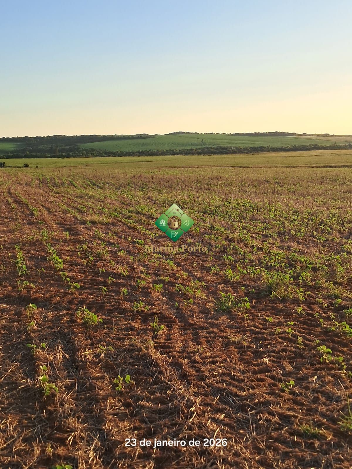 Fazenda, 127 hectares - Foto 6