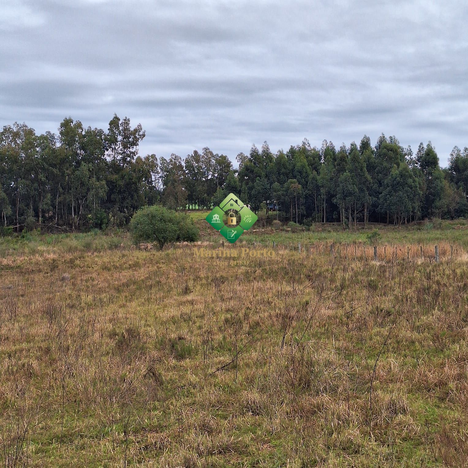 Chácara à venda com 2 quartos, 55000m² - Foto 1