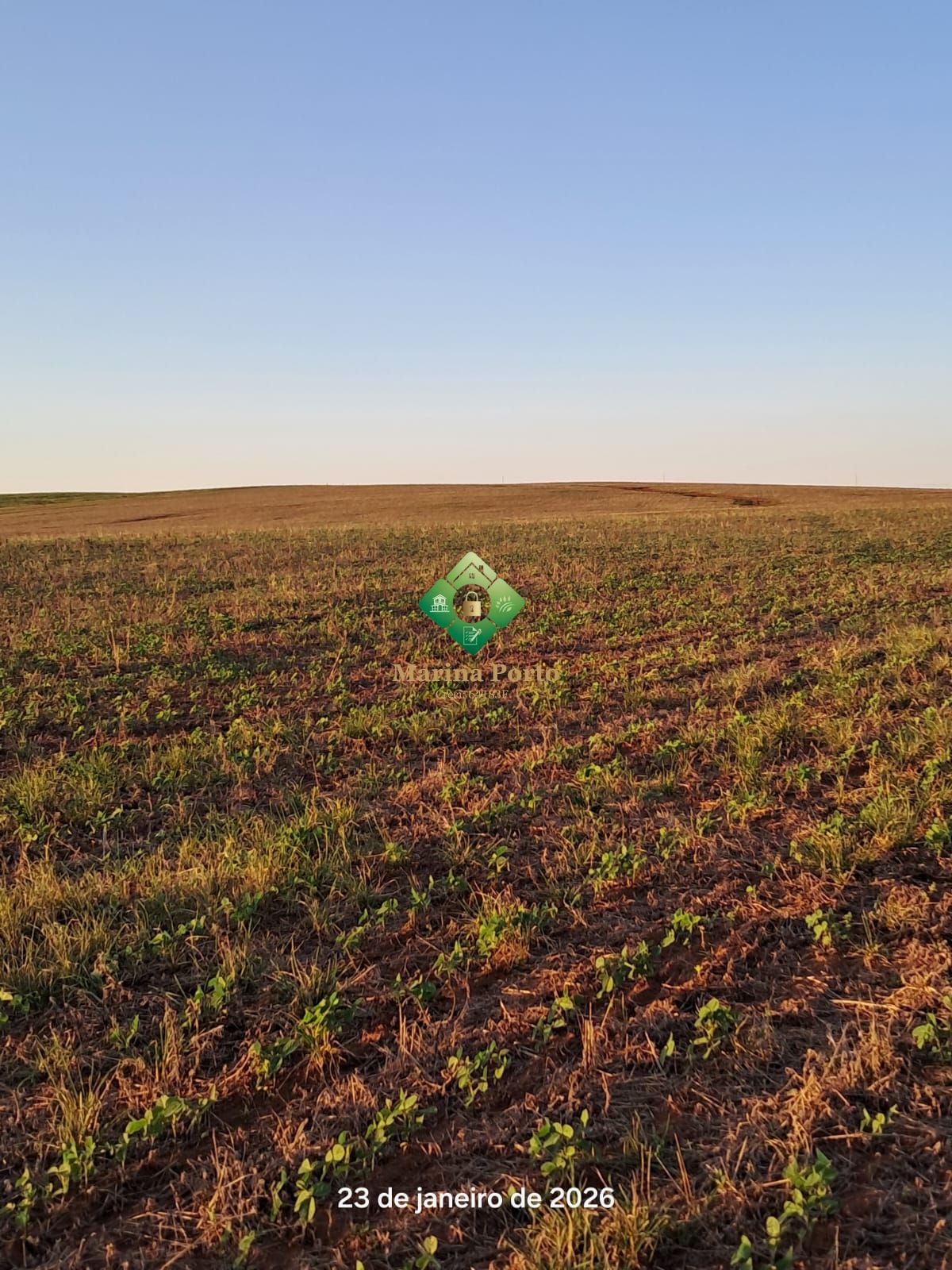 Fazenda, 127 hectares - Foto 5