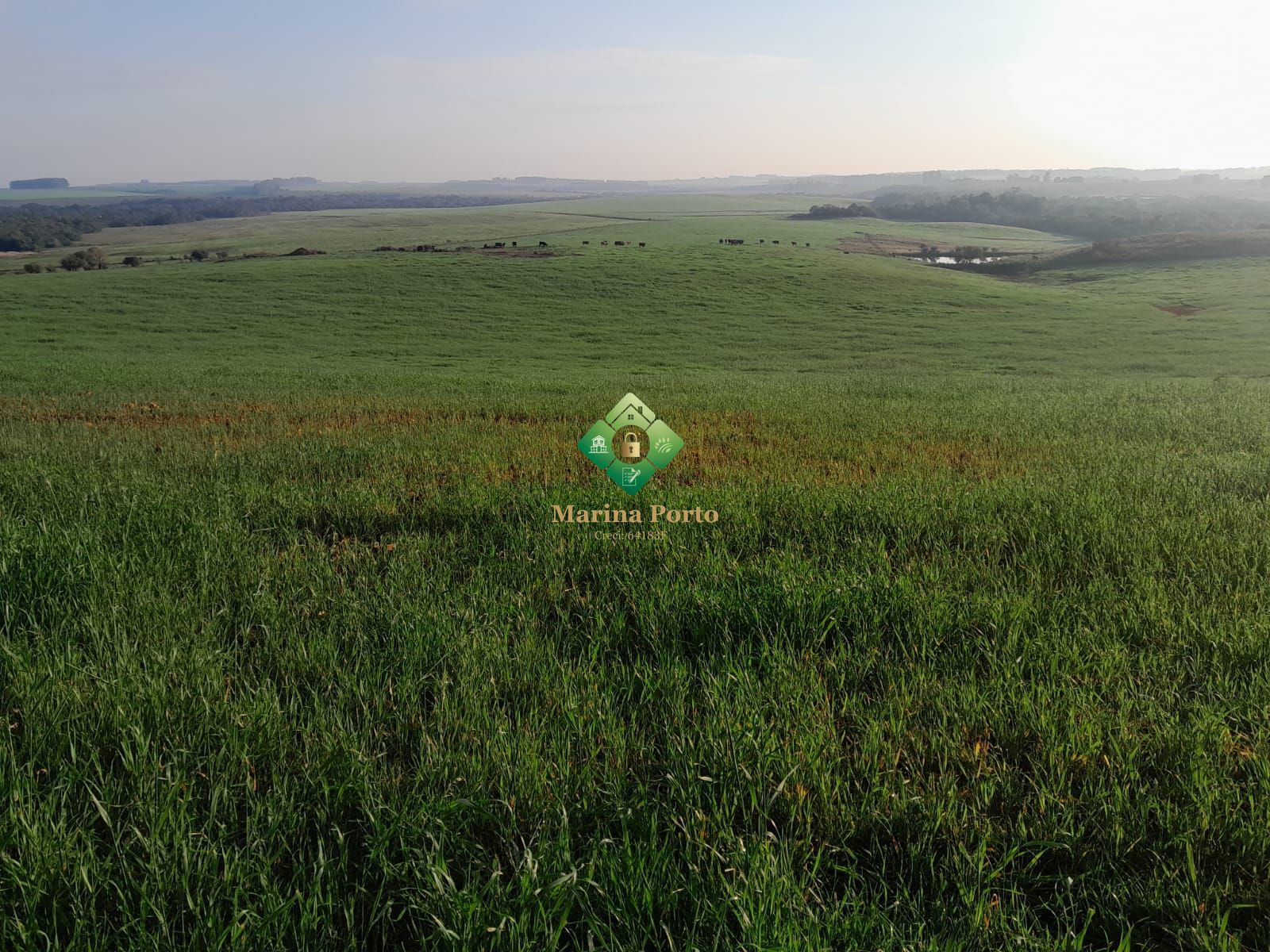 Chácara, 338 hectares - Foto 1