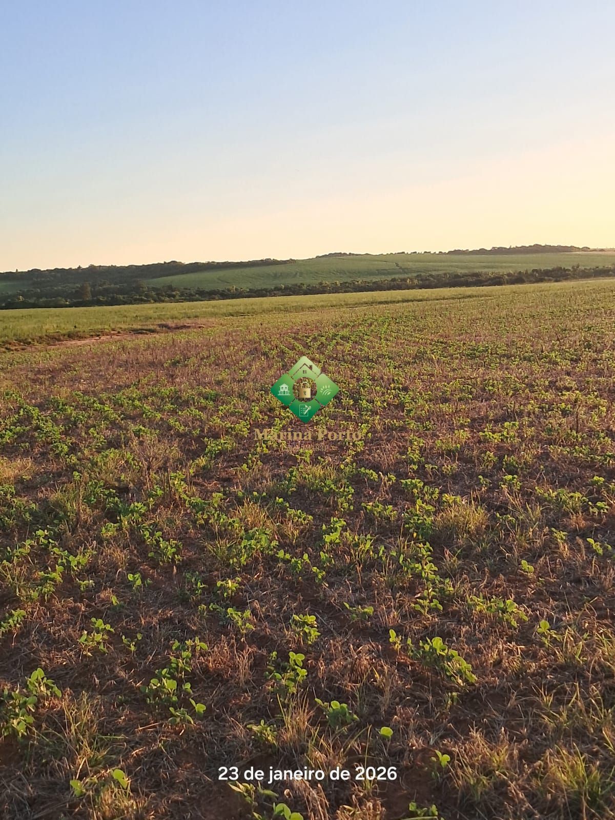 Fazenda, 127 hectares - Foto 2